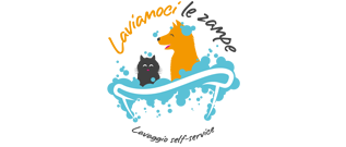 Logo CardWash